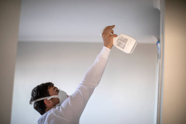 Best Kitchen Mold Remediation in Jacksonville, AL