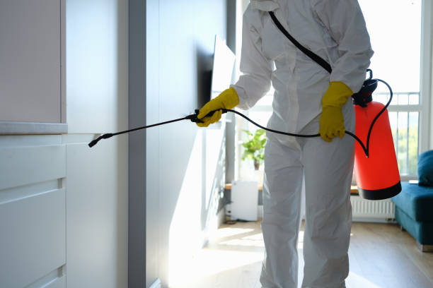 Best Residential Mold Remediation in Jacksonville, AL