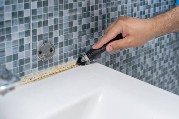 Best Health and Safety Mold Remediation in Jacksonville, AL